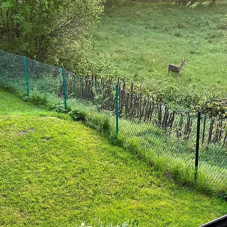 Ranczo Дом отдыха Targoszow