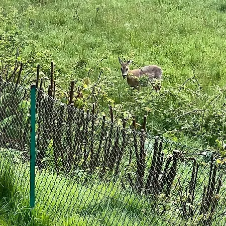 Tatil Evi Ranczo Targoszow