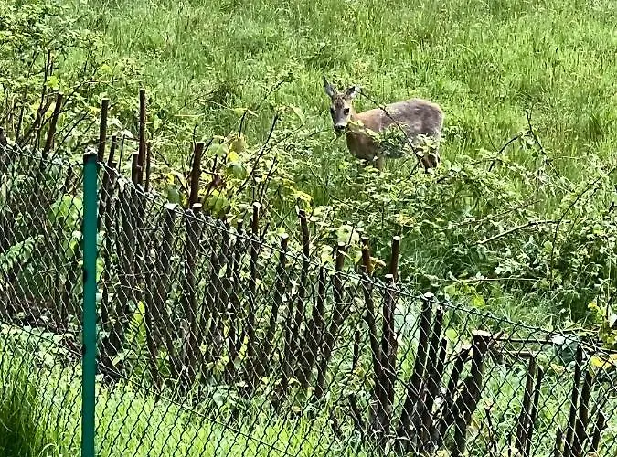 בית נופש Ranczo Targoszow